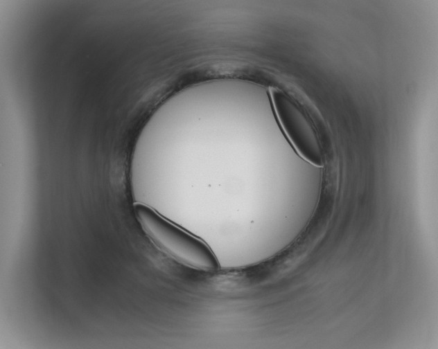 X0000111680505200907171507
