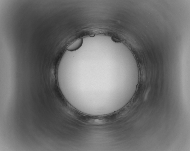 X0000111680506200907171507