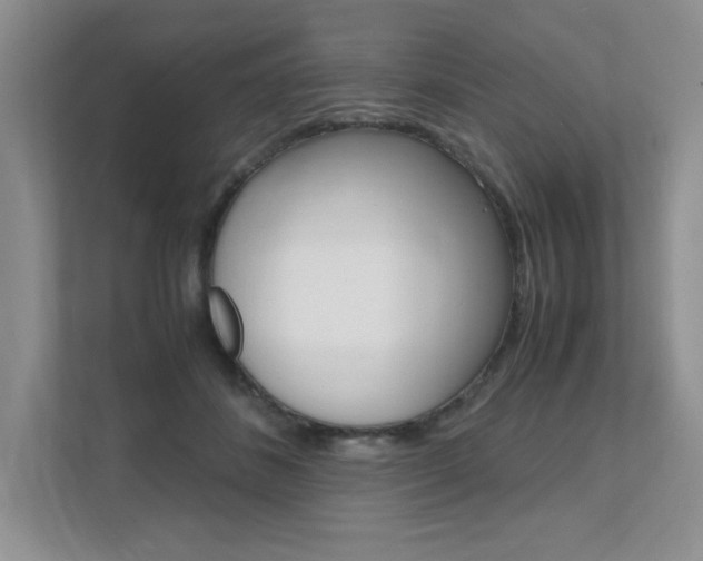 X0000111680508200907171507