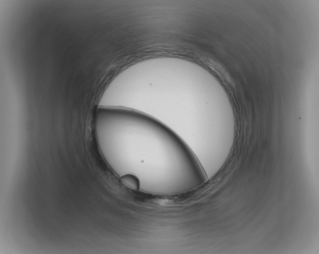 X0000111680509200907171507