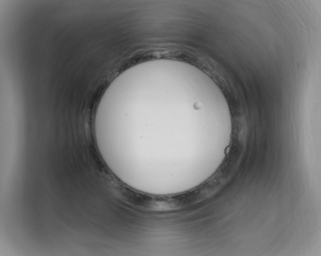 X0000111680510200907171507