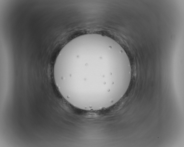 X0000111680519200907171507