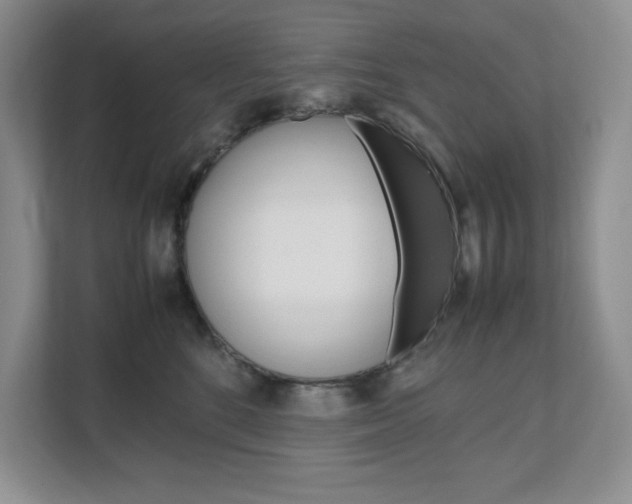 X0000111680520200907171507