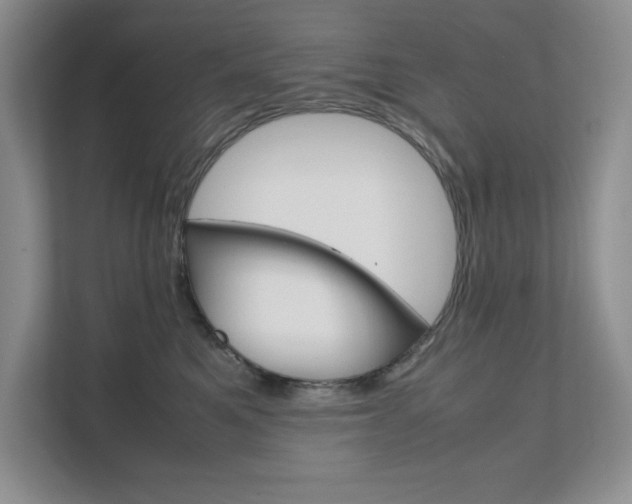 X0000111680521200907171507
