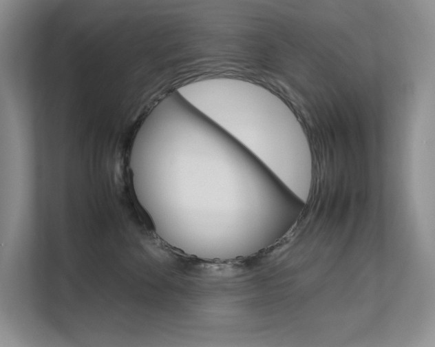 X0000111680524200907171507