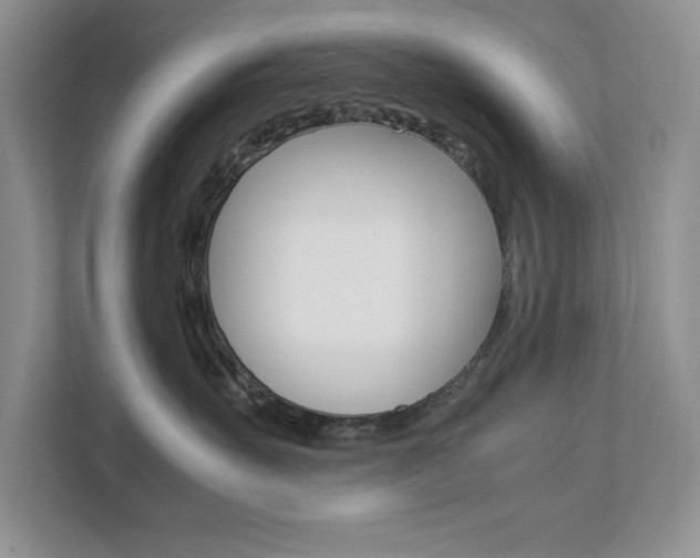 X0000111680527200907171507