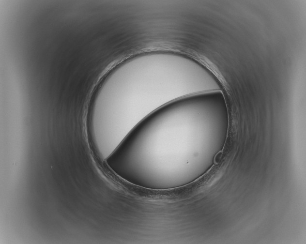 X0000111680530200907171506