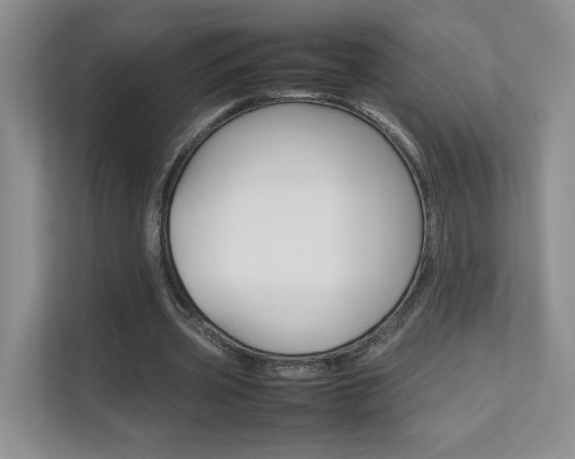 X0000111680533200907171506