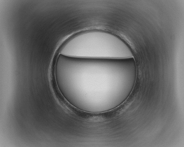 X0000111680536200907171506