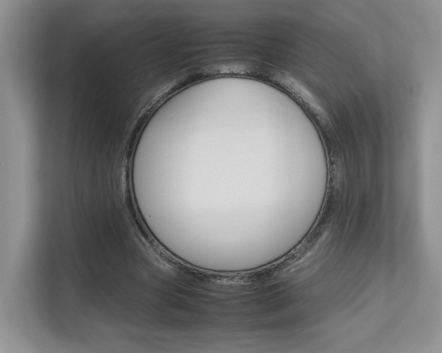 X0000111680537200907171506