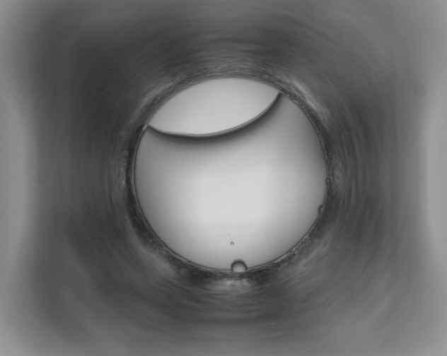 X0000111680543200907171506