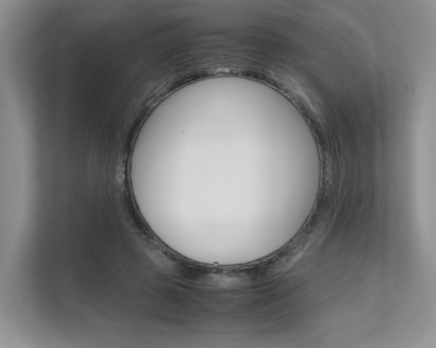 X0000111680545200907171506