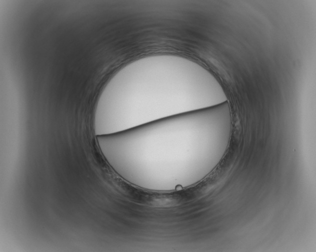 X0000111680547200907171506