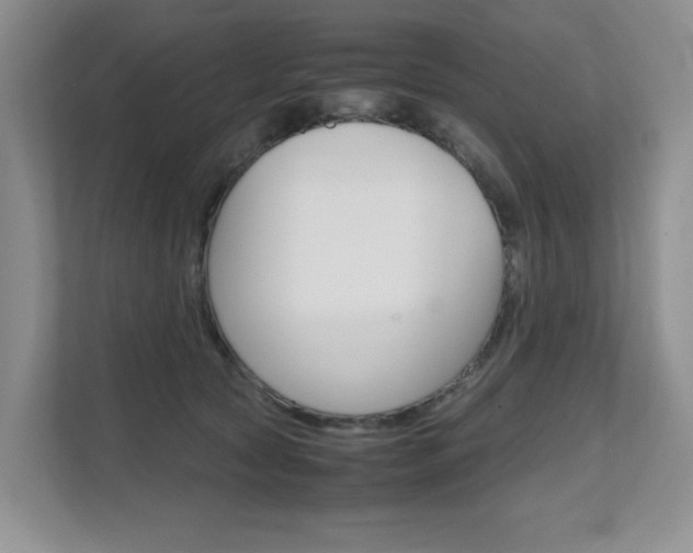 X0000111680561200907171507