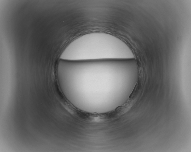 X0000111680564200907171507