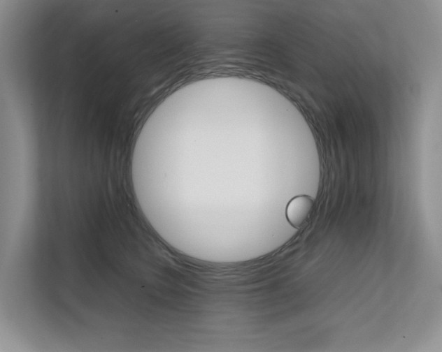 X0000111680566200907171507