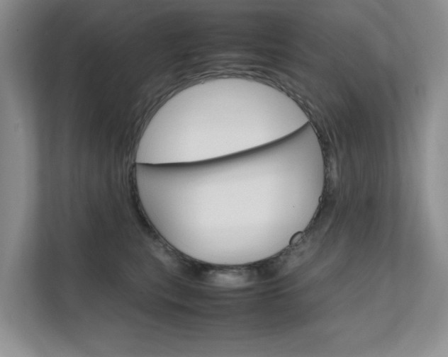 X0000111680567200907171507