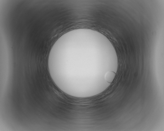 X0000111680568200907171507