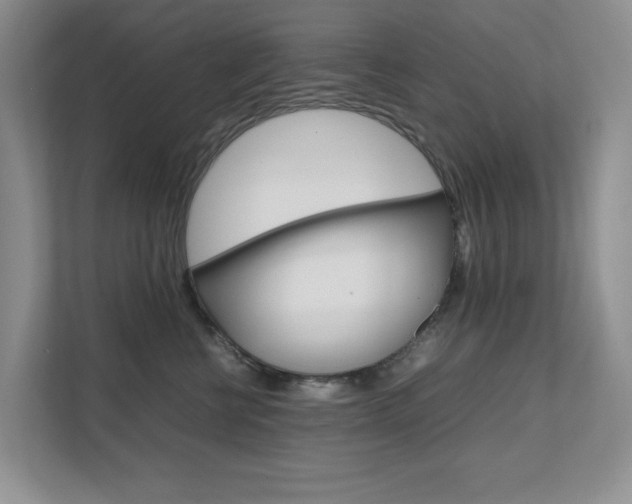 X0000111680570200907171507