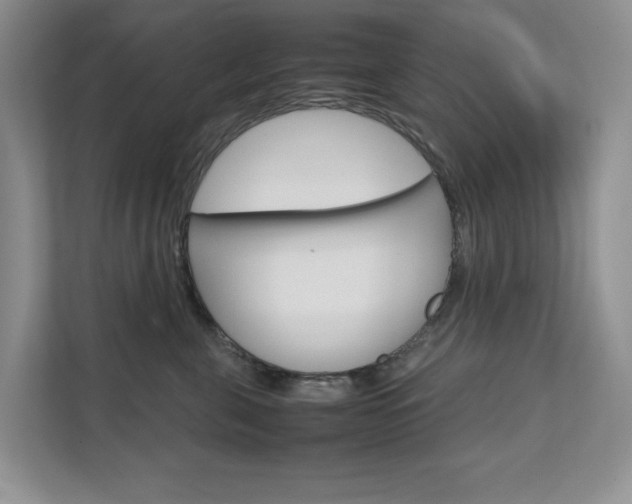 X0000111680571200907171507