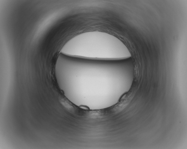 X0000111680574200907171507