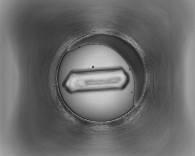 X0000111680577200907171506