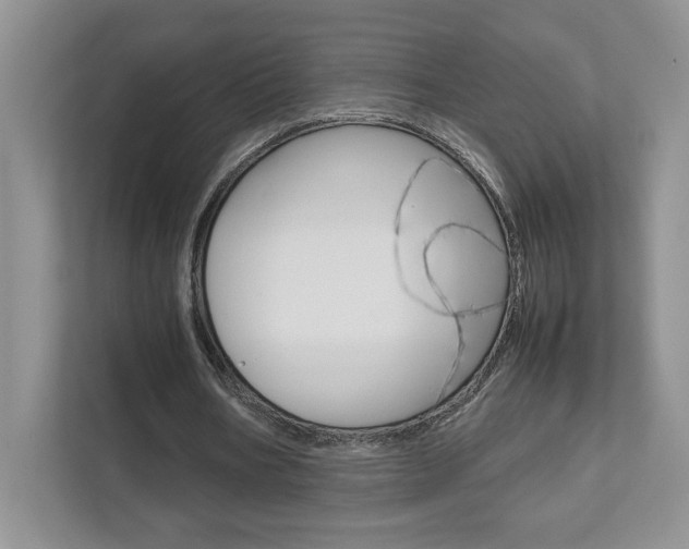 X0000111680578200907171506