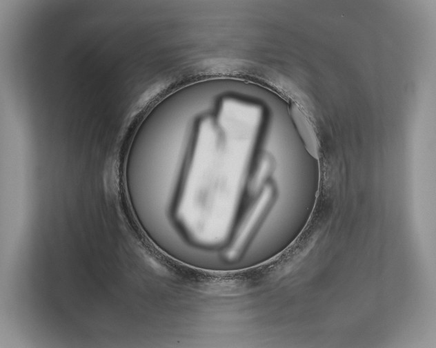 X0000111680581200907171506