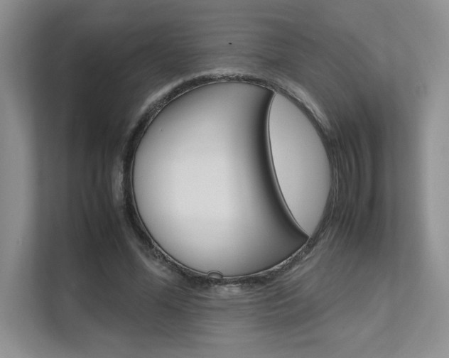 X0000111680588200907171506