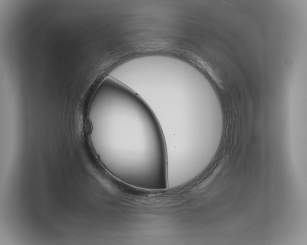 X0000111680589200907171506