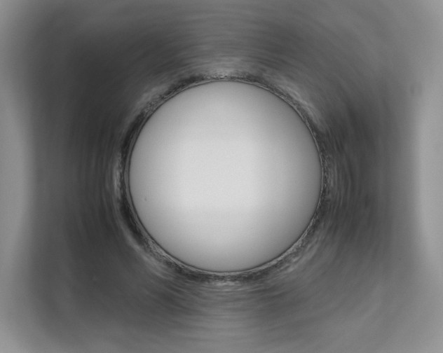 X0000111680590200907171506
