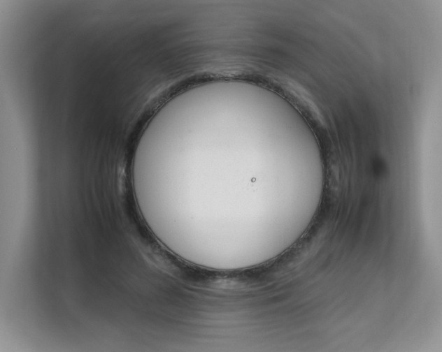 X0000111680596200907171506