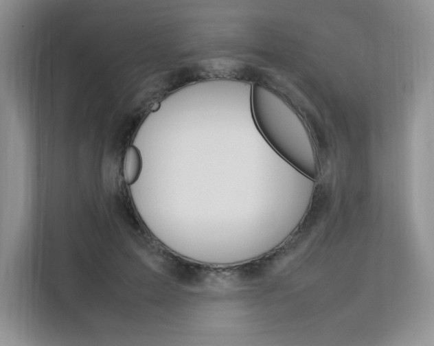 X0000111680599200907171506