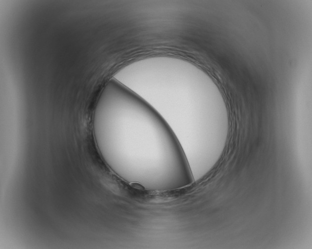 X0000111680601200907171506