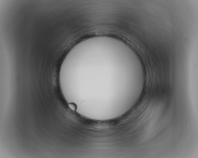 X0000111680604200907171506