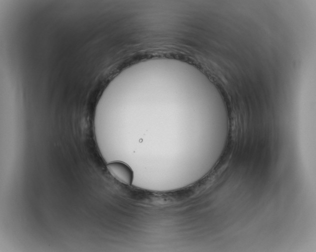 X0000111680608200907171506