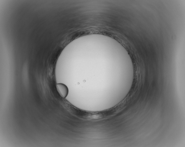X0000111680610200907171506