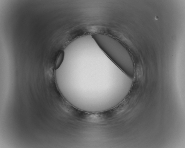 X0000111680611200907171506