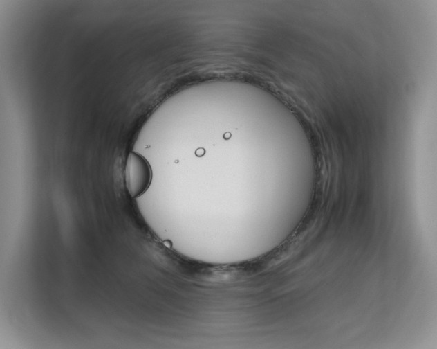 X0000111680612200907171506