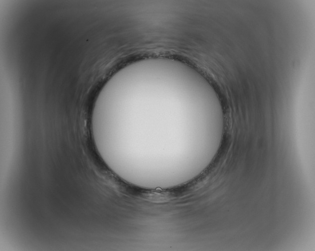 X0000111680615200907171506