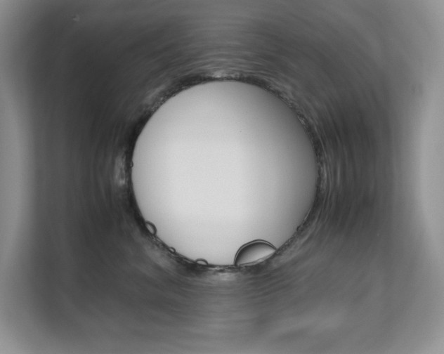X0000111680620200907171506