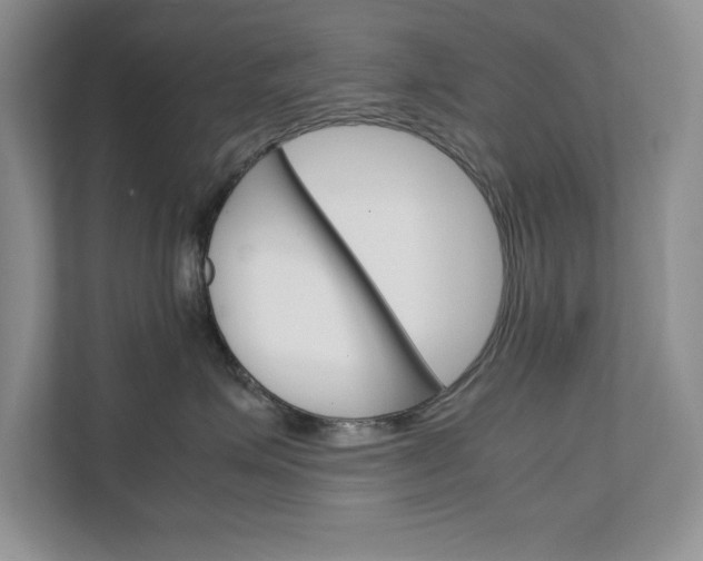 X0000111680623200907171506