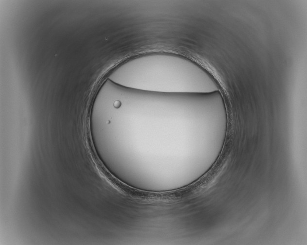 X0000111680625200907171505