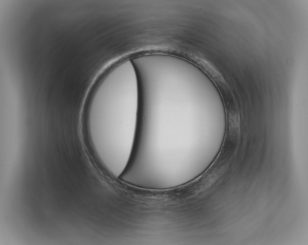 X0000111680628200907171505