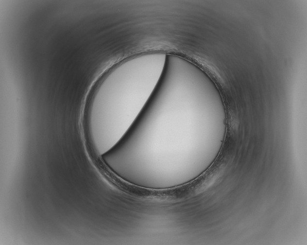X0000111680630200907171505