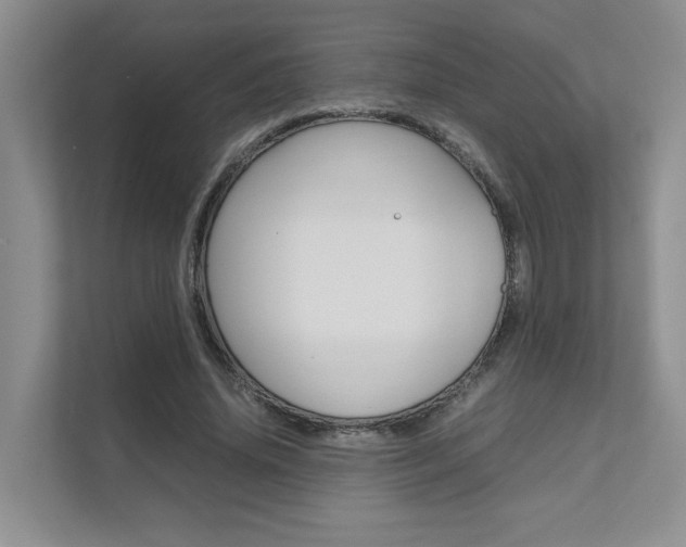 X0000111680636200907171505