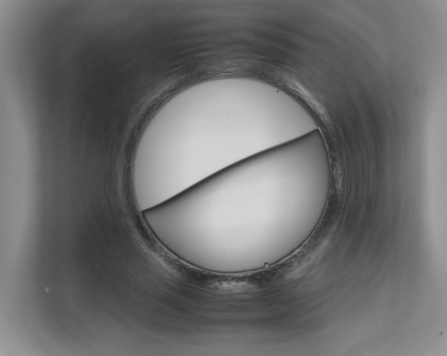 X0000111680637200907171505