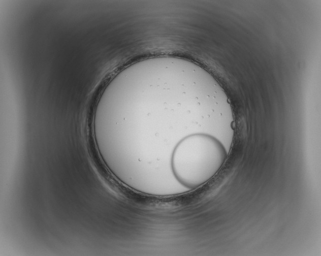 X0000111680638200907171505
