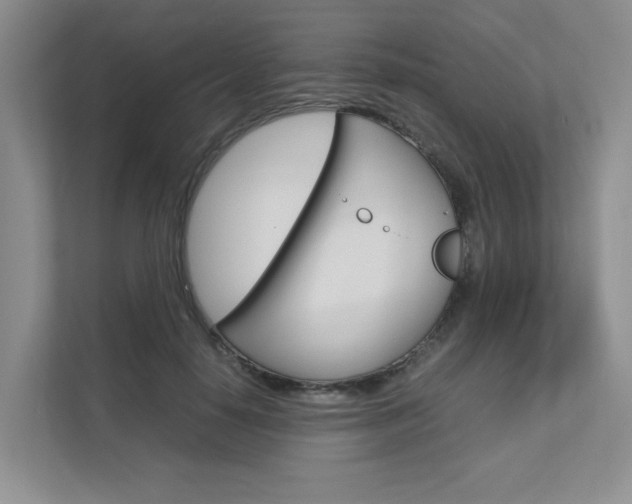 X0000111680650200907171505