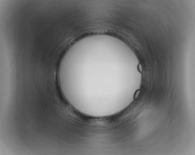 X0000111680652200907171505